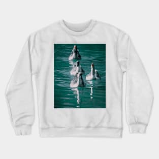 Lake Geese Wildlife Nature Photography Crewneck Sweatshirt